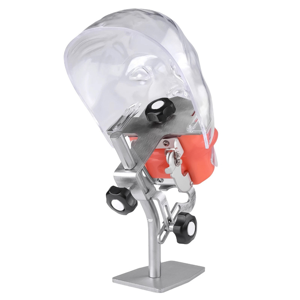 Dental Phantom Head Manikin Model with 28Pcs/32Pcs Teeth Typodont and FE Articulator Compatible with Nissin Kilgore